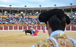 Toros.