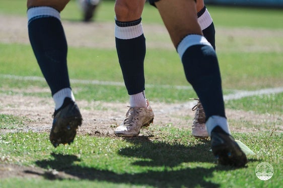 Comienza la resiembra del césped en el Estadio del Club Deportivo Coria