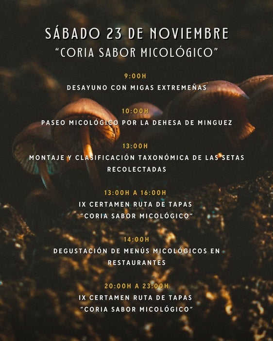 Coria continúa hoy con la Fiesta Micológica 
