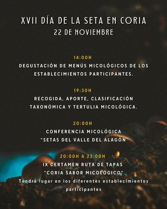 Coria Celebra el XVII Día de la Seta con Actividades Gastronómicas y Culturales