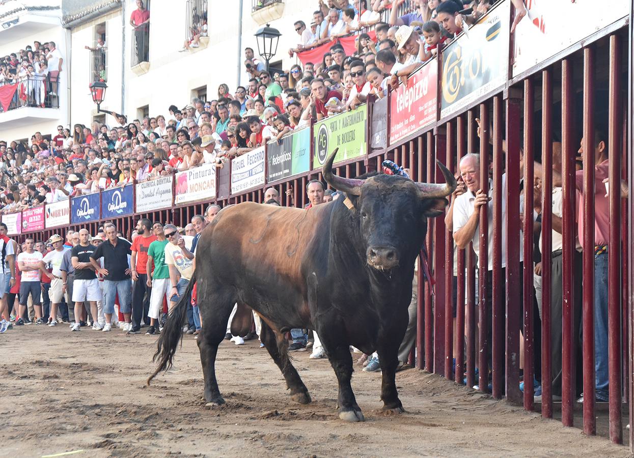 Dos heridos de escasa consideración por el toro Piconero de la Juventud Cauriense