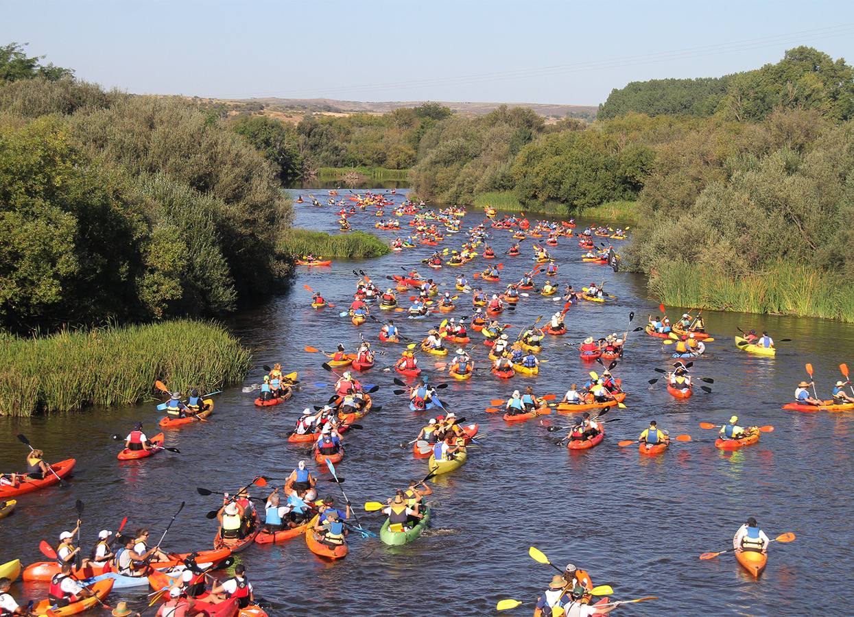 Palistas recorriendo el río Alagón