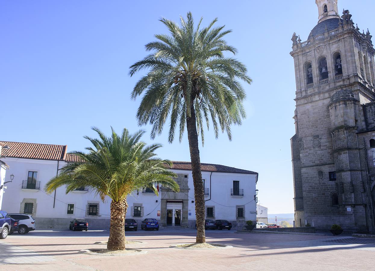 Se llevará a cabo en la plaza de la Catedral