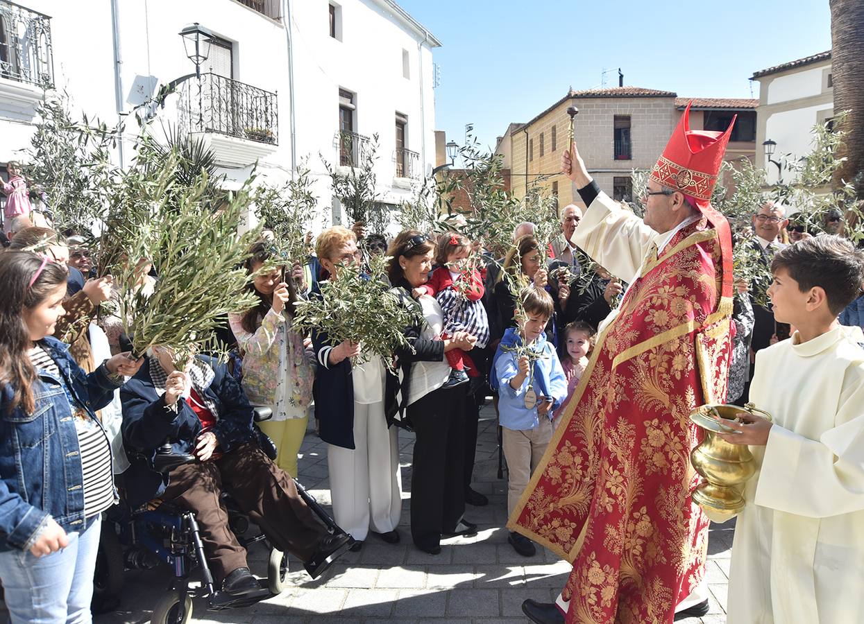 Bendición de ramos