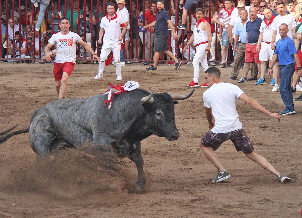Botito en la plaza