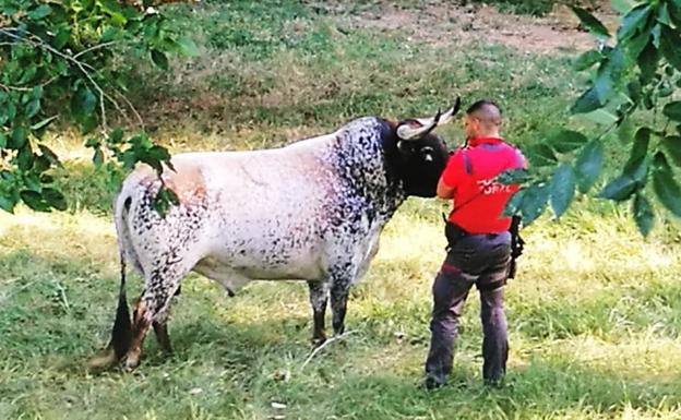 Imagen de Dorado con un agente de la Policía Foral de Navarra 