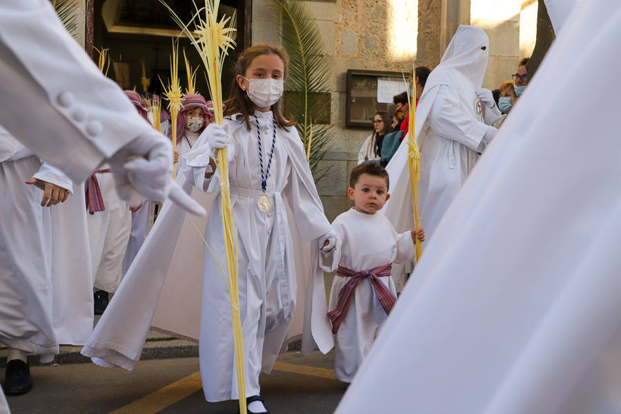 La Borriquita regresó a las calles el Domingo de Ramos.