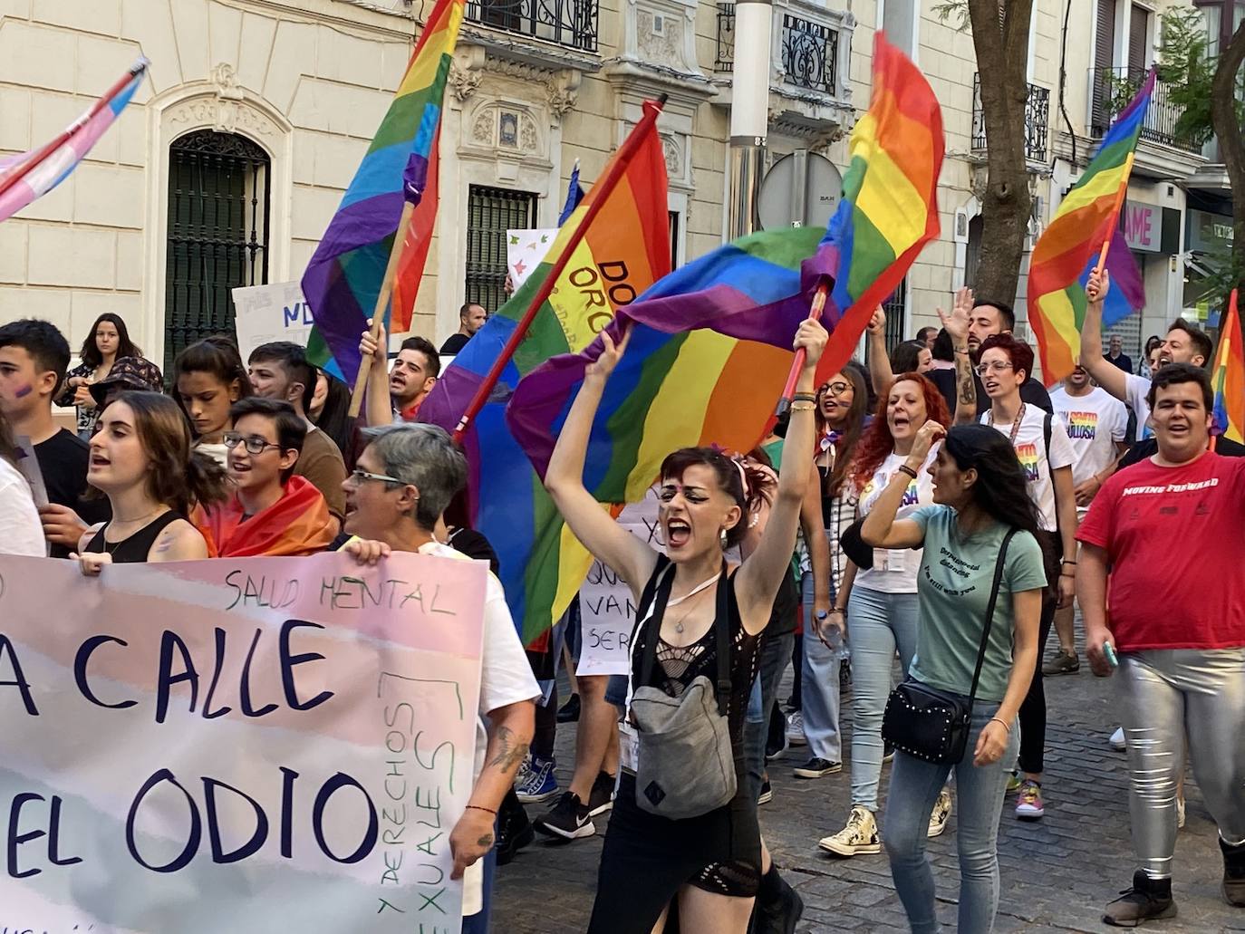 Fotos: Don Benito reivindica su Orgullo