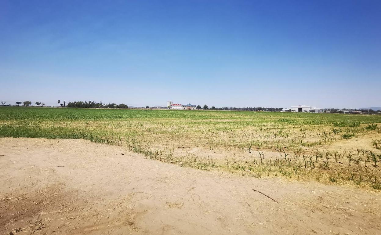 Infraestructuras: El nuevo polígono industrial de Don Benito estará operativo en el año 2024