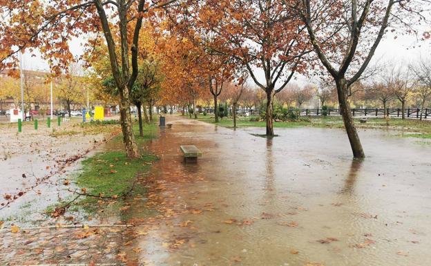 El parque de Las Albercas, próximo a Feval, se encuentra parcialmente inundado. 