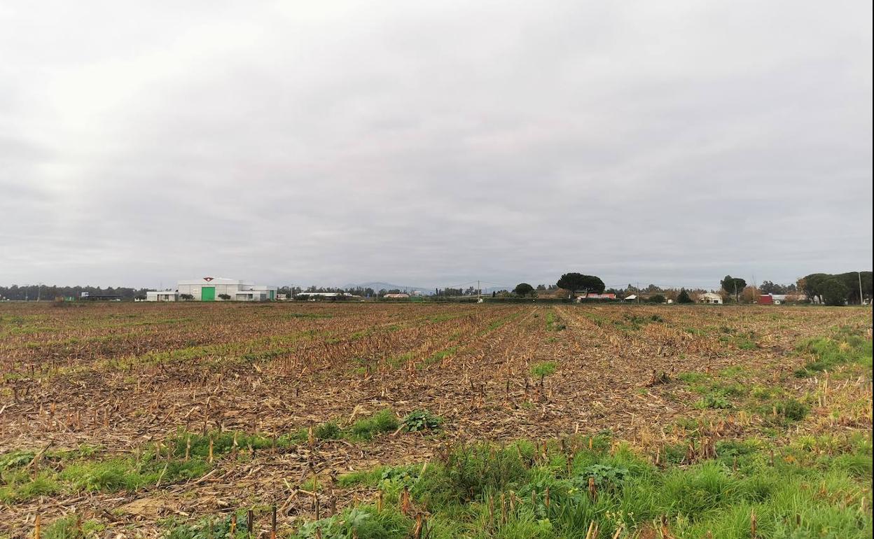 El nuevo polígono comenzará a urbanizarse en 2023