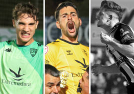 Mercado de verano en el Don Benito