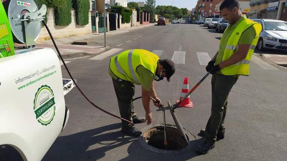 El Ayuntamiento destina 55.000 euros a combatir a ratas y cucarachas