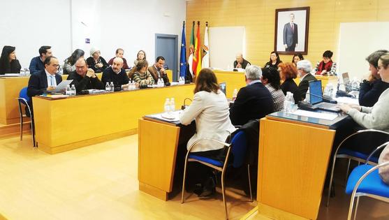 El pleno municipal aprobará el viernes su nuevo reglamento