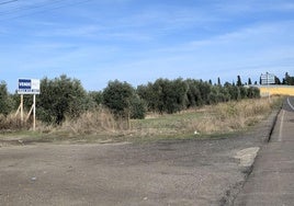 El Ayuntamiento generará más suelo industrial junto a la avenida de Madrid
