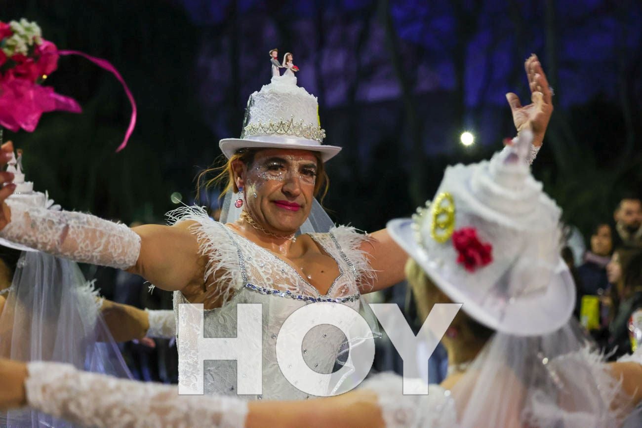 Fotos | Desfile de comparsas del Carnaval de Villanueva 2026 (II)