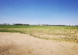 Las obras del nuevo polígono se adjudican por 4,56 millones de euros