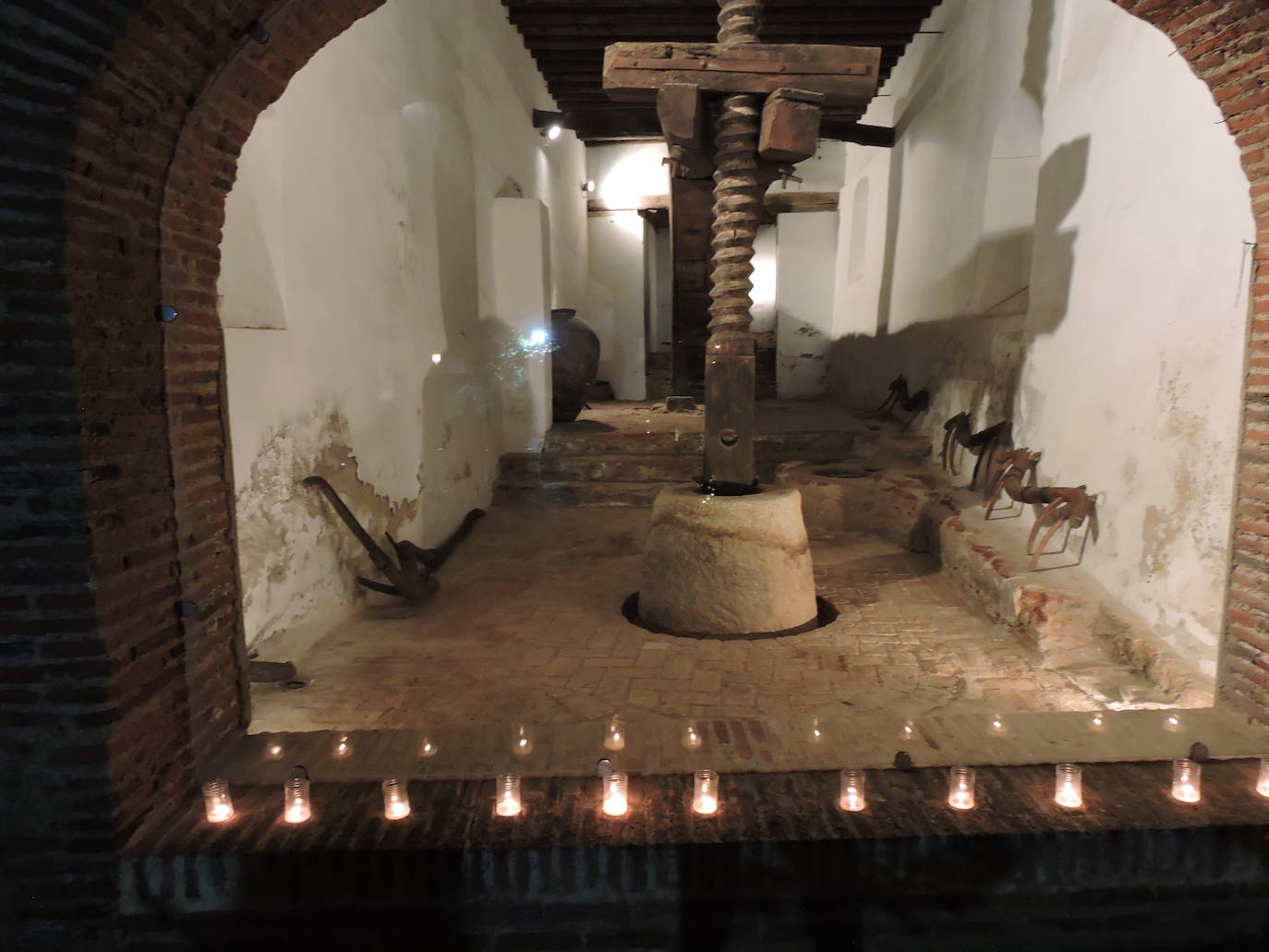 100 fotos sobre todas las actividades de la noche en blanco frexnense.