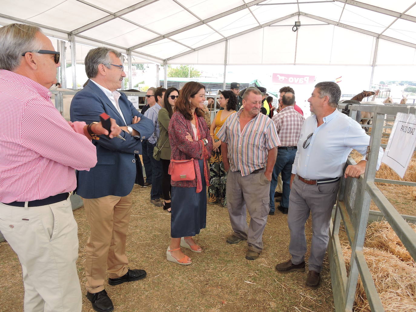 Fotos: FOTOS DE LAS FERIAS Y FIESTAS DE SAN MATEO 2019 - Parte 1