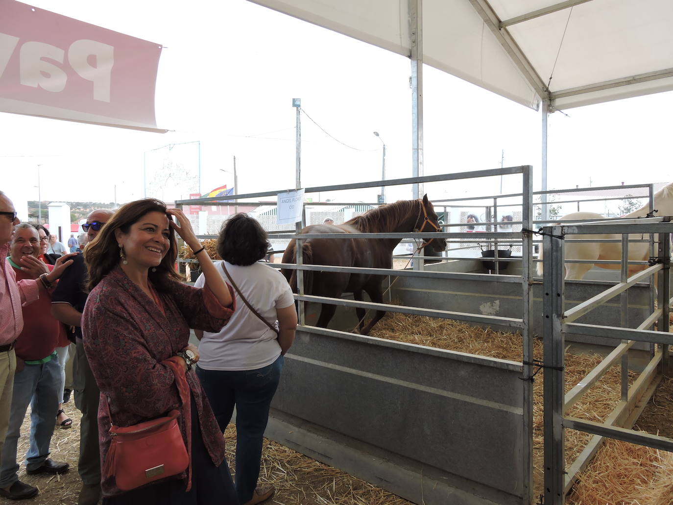Fotos: FOTOS DE LAS FERIAS Y FIESTAS DE SAN MATEO 2019 - Parte 1
