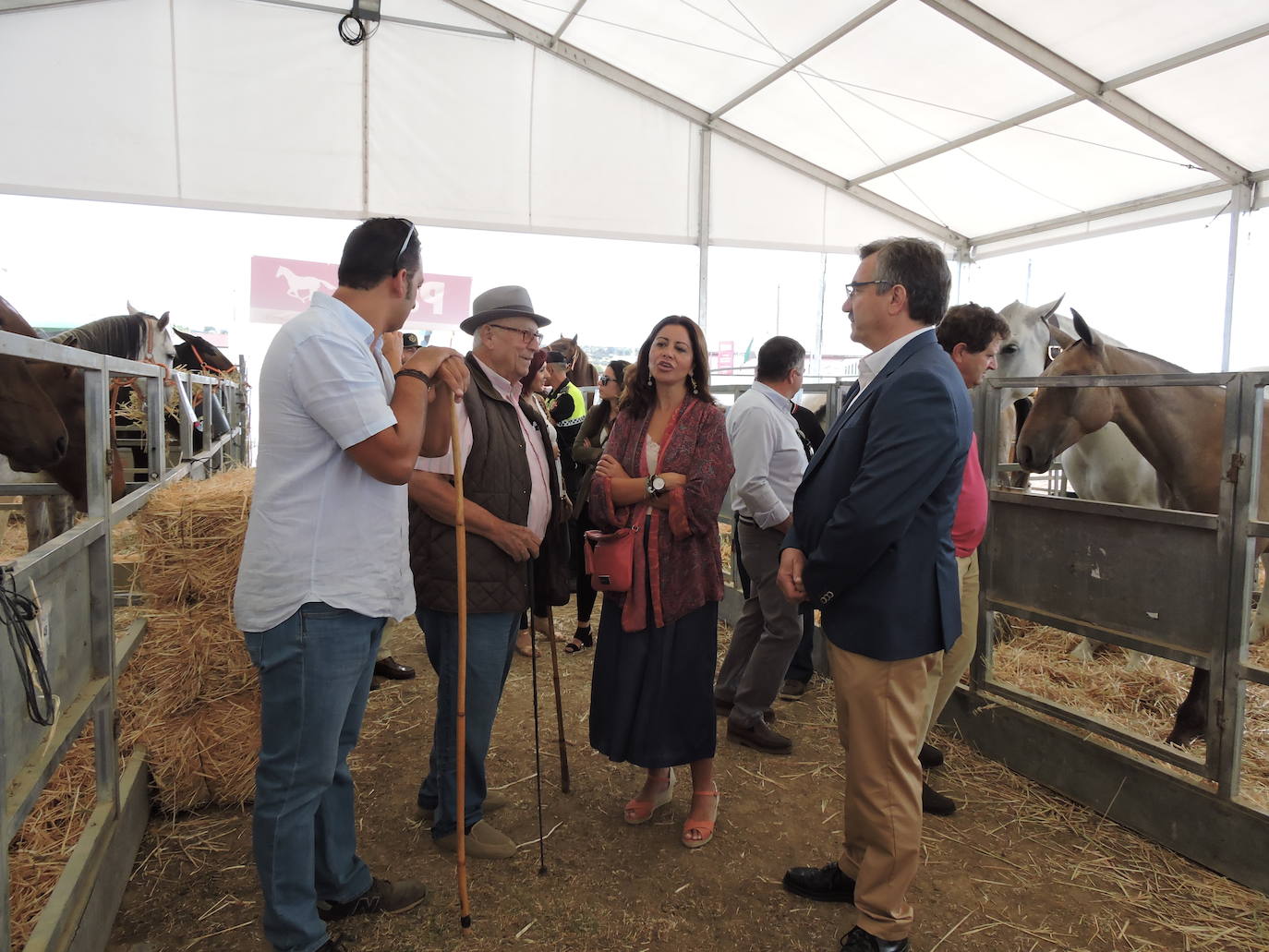 Fotos: FOTOS DE LAS FERIAS Y FIESTAS DE SAN MATEO 2019 - Parte 1