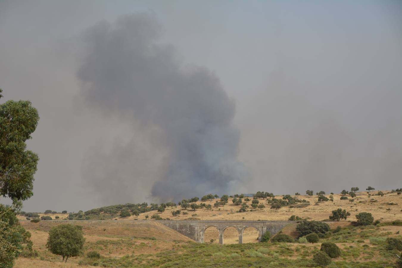 Foco loclaizado en la finca del Moriano 