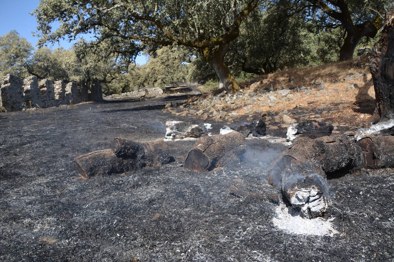 El fuego marca su huella en Nertóbriga 