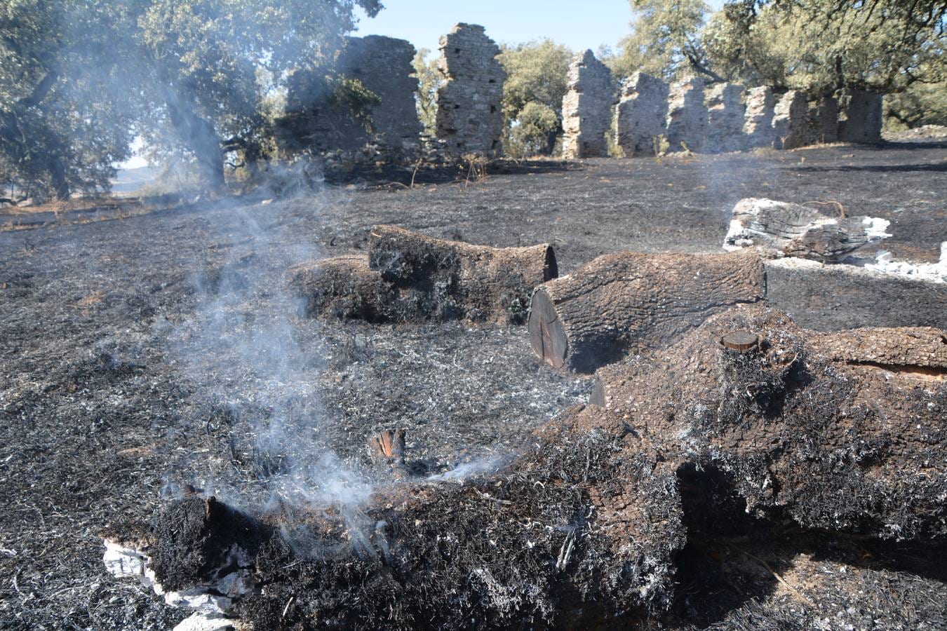 El fuego marca su huella en Nertóbriga 