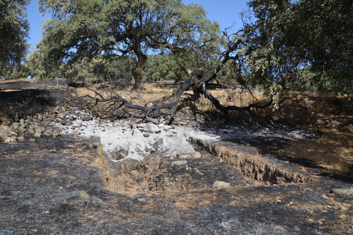 El fuego marca su huella en Nertóbriga 