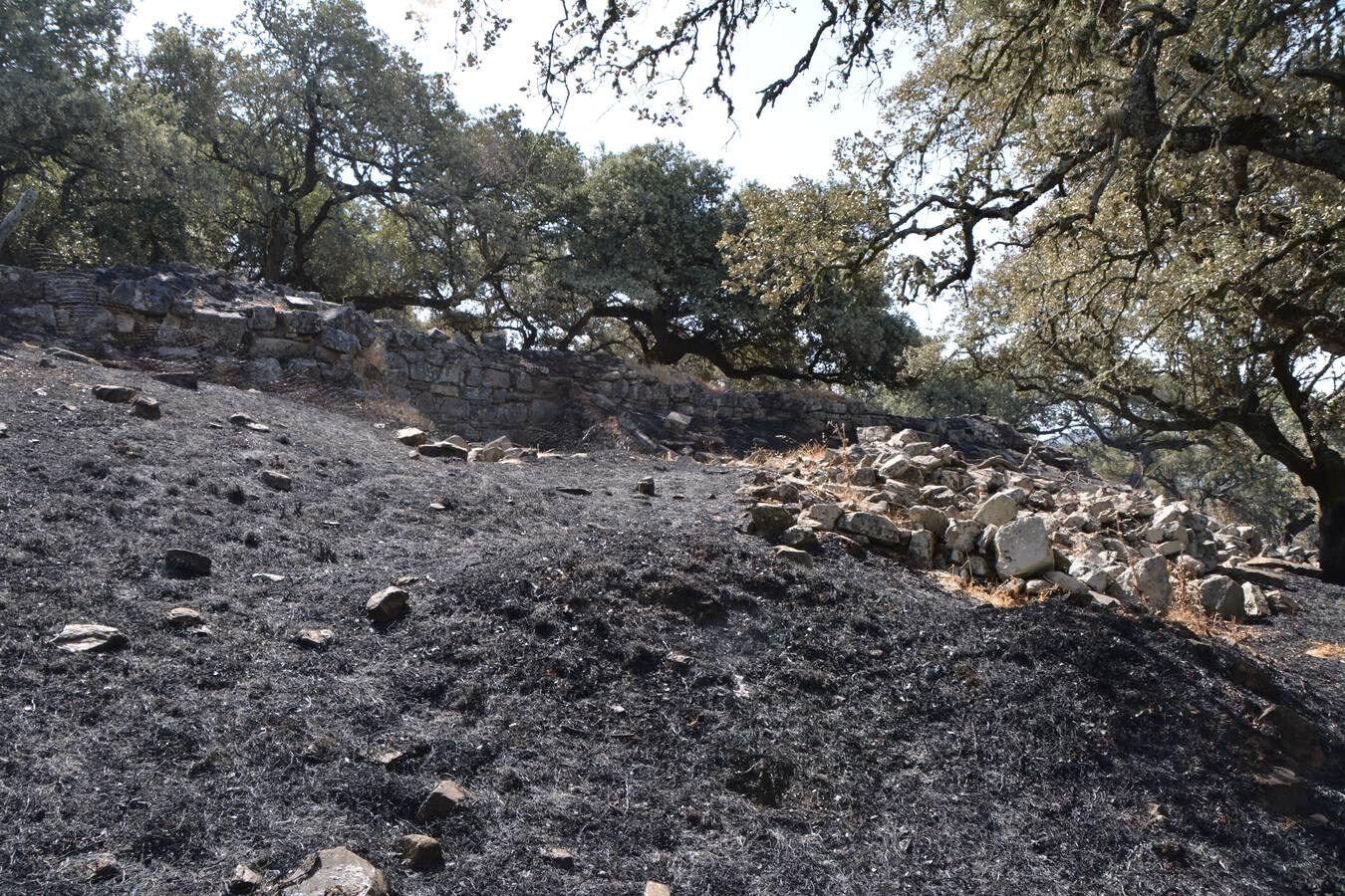 El fuego marca su huella en Nertóbriga 