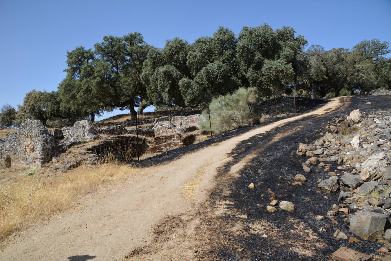 El fuego marca su huella en Nertóbriga 