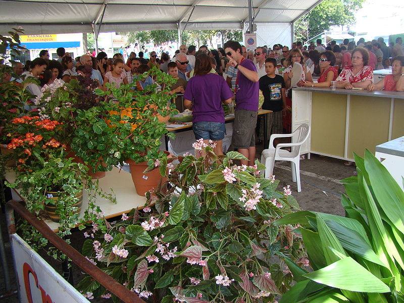 Llegan los concursos de la próxima edición del Festival Internacional de la Sierra