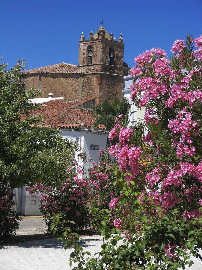 XIV Semana de Tiempo Ordinario en la Parroquia de Fregenal