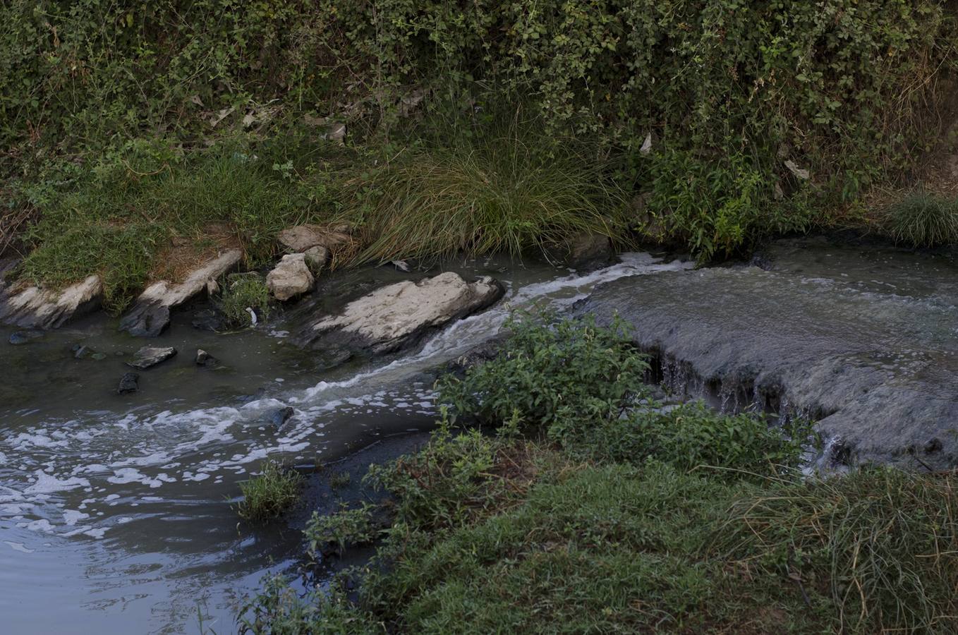 Vertidos de aguas fecales en el Arroyo San Lázaro. 