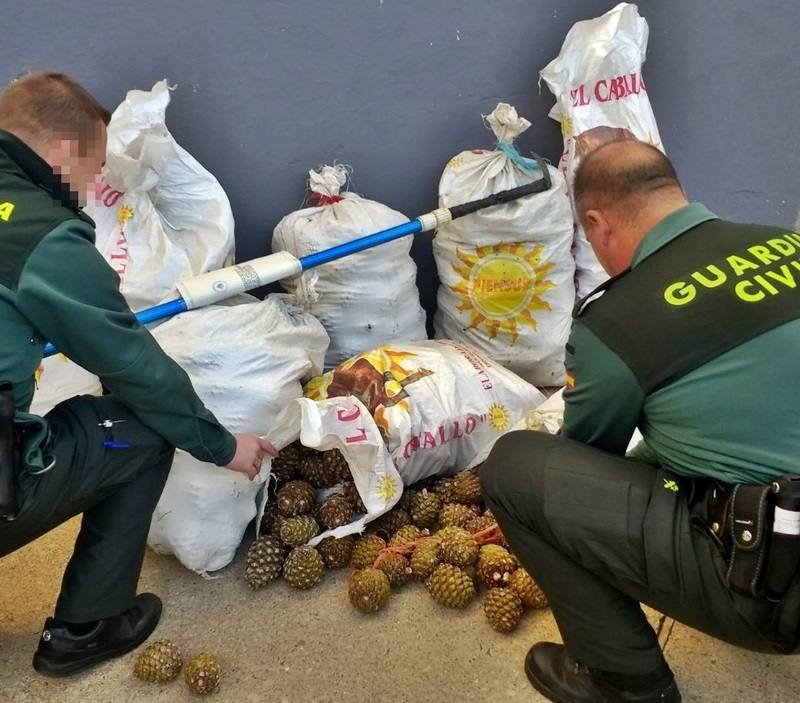 Efectivos de la Guardia Civil con parte de la carga. 