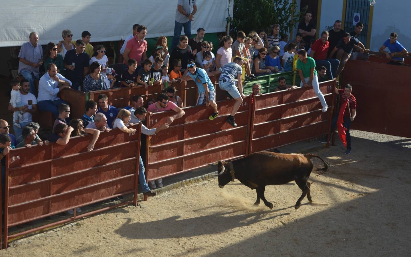 Hoy jueves comienzan las fiestas de la Virgen de Flores de Bodonal de la Sierra