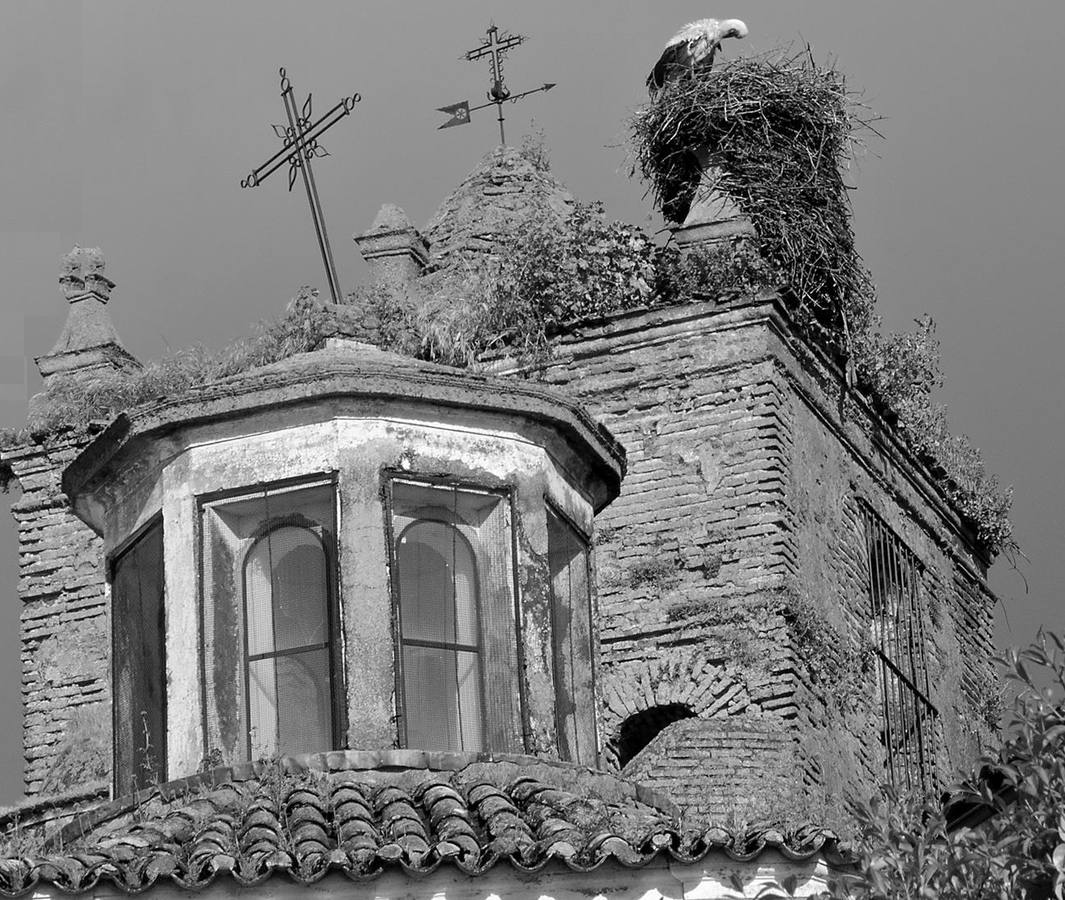 Mañana viernes se oficiará Santa Misa en el cementerio a las cinco de la tarde