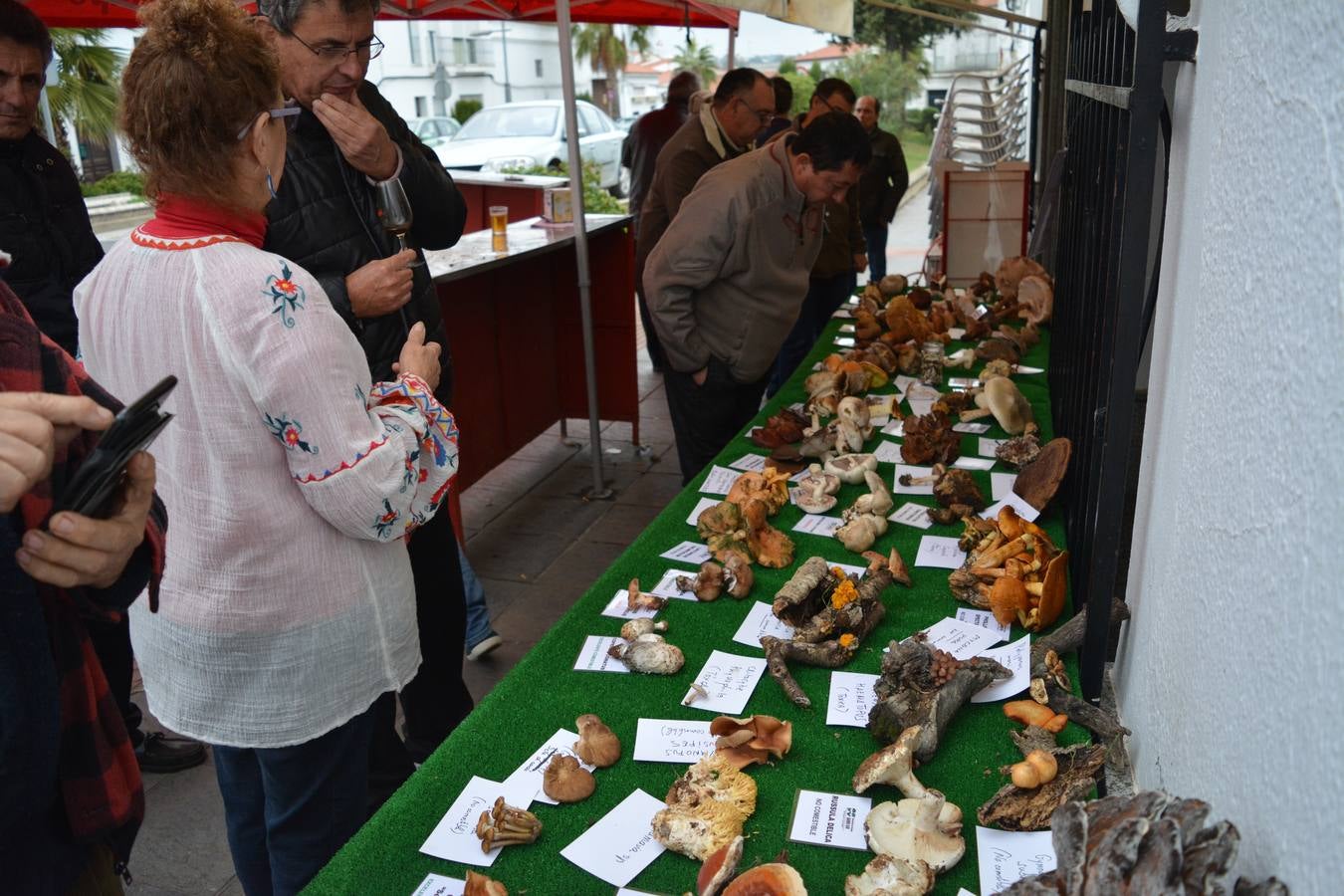 Alrededor de un centenar de personas participaban de las 5ª Jornadas Micológicas del Barrio Sur
