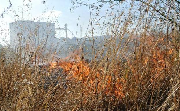 Incendio de pastos en Fuente de Cantos 