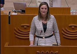 La concejala Luisa Durán tomó posesión como diputada en la Asamblea