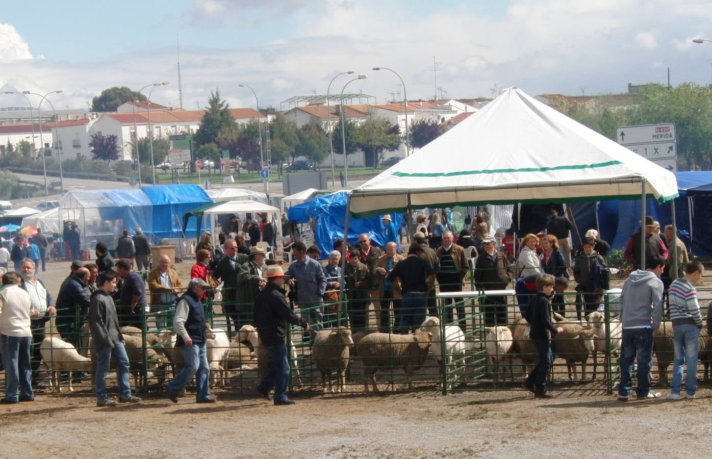 El ayuntamiento quiere uniformizar las peñas de la Chanfaina