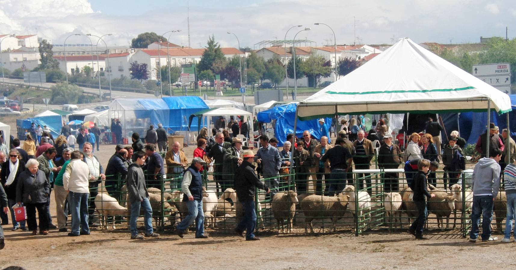 El ayuntamiento convoca a las peñas de la Chanfaina para el día 15