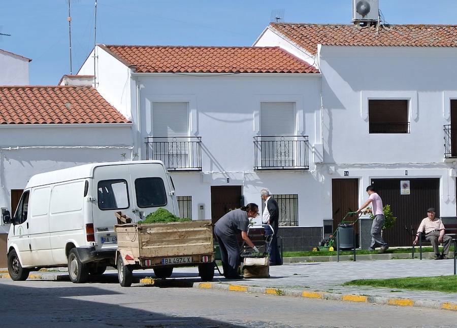 Jardineros municipales en el parque del Calvario. 