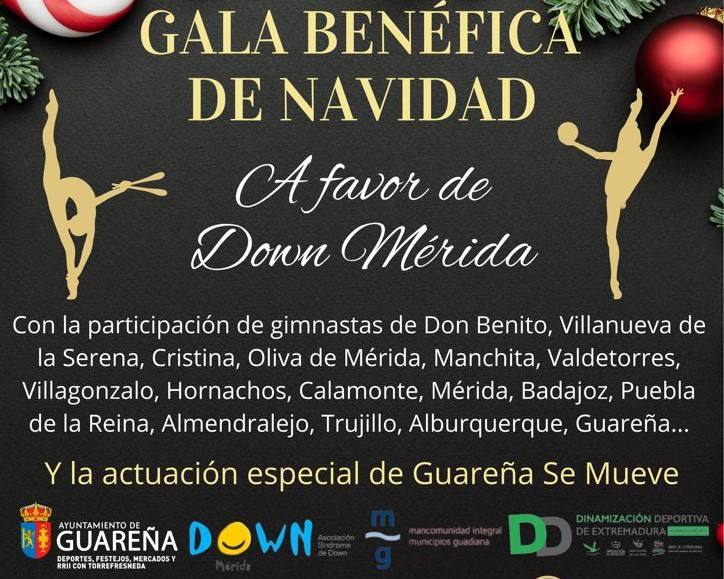 Cartel anunciador de la Gala Benéfica de Navidad a favor de Down Mérida.
