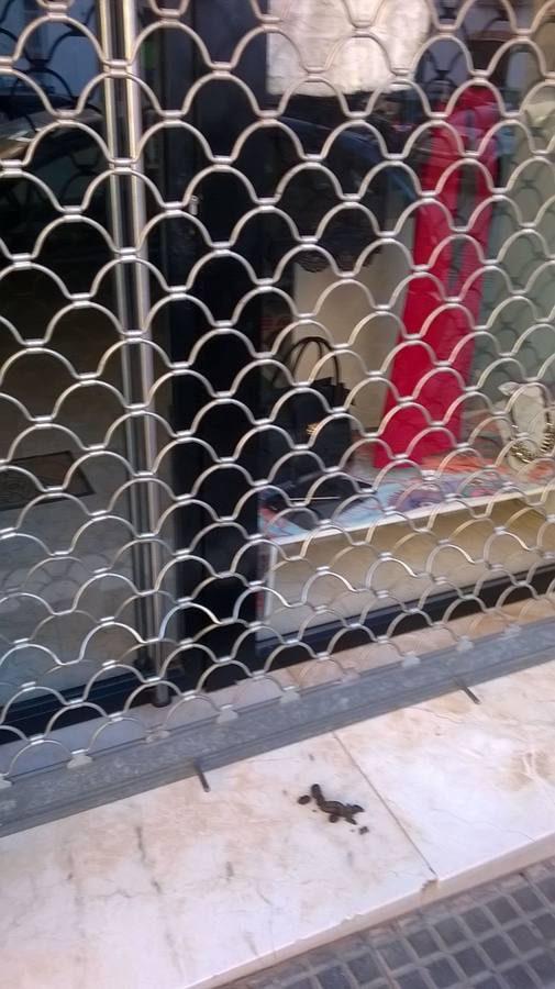 Trabajadoras de comercios hartas de quitar excrementos de perros