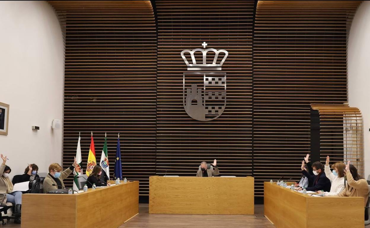 Celebrado el primer Pleno Ordinario del año 2022