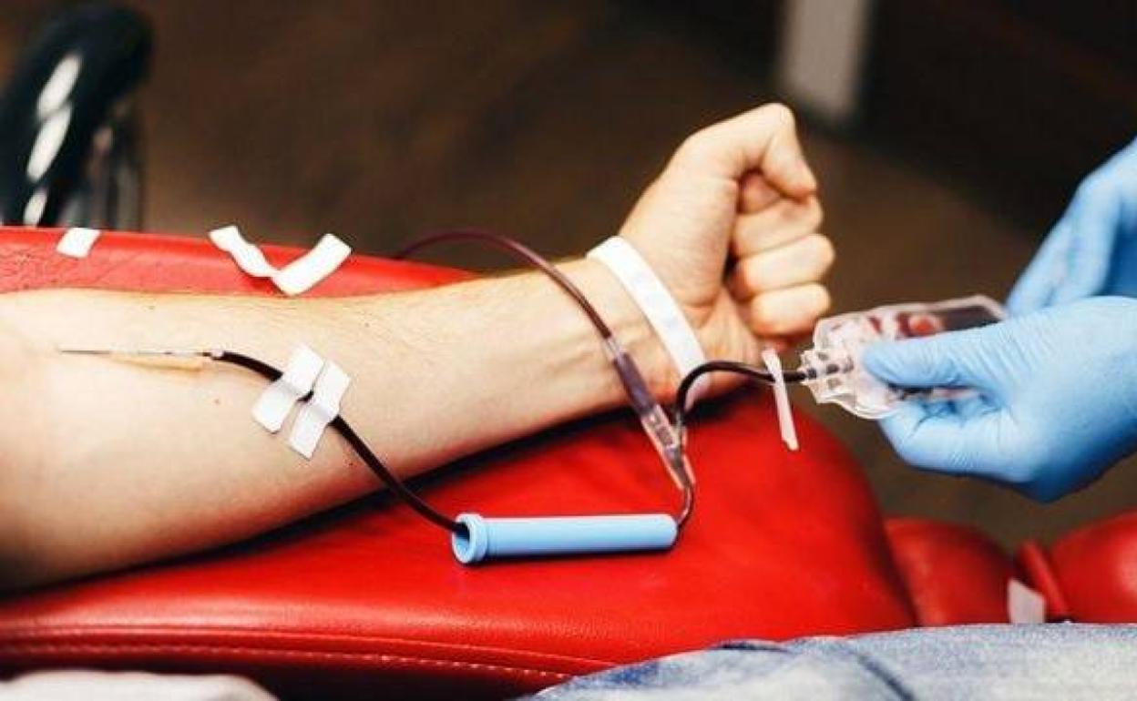 El Banco de Sangre de Extremadura visitará este miércoles 22 de junio Herrera del Duque