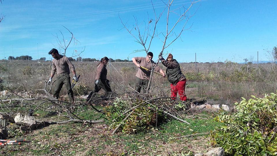 Alumnos realizando los trabajos.