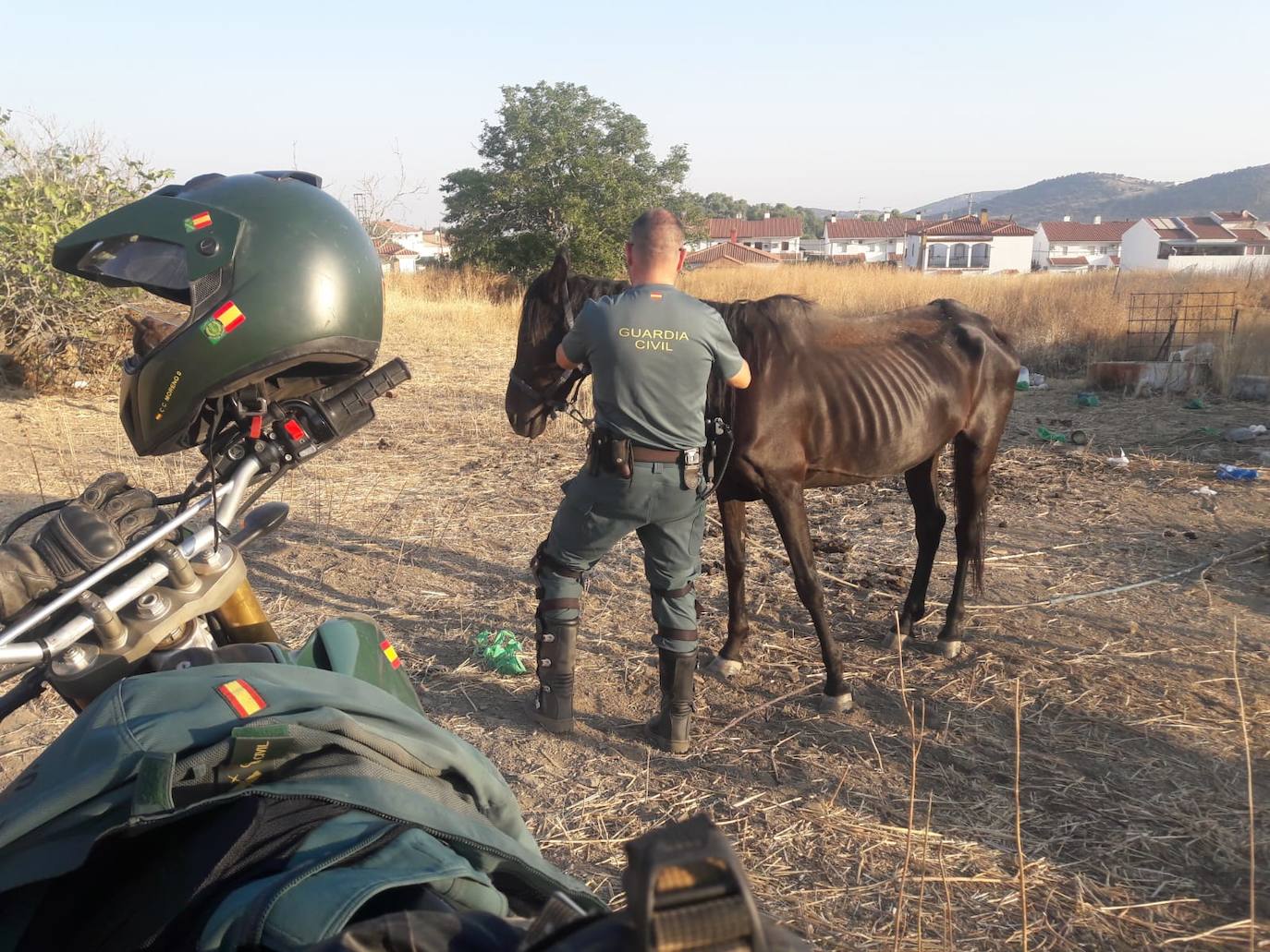 El SEPRONA de Hornachos, y la Guardia Civil investiga a dos personas por supuestos delitos de maltrato animal