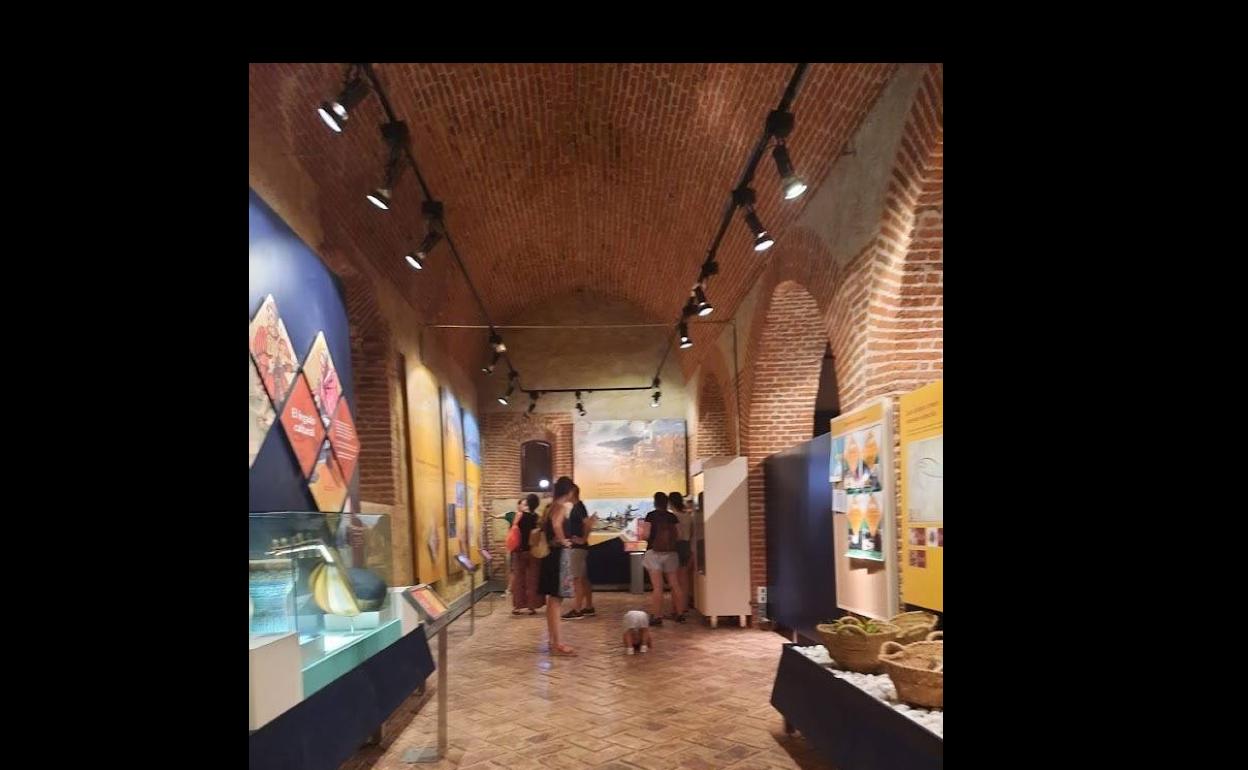 La Oficina de Turismo realiza visitas guiadas por el casco histórico de la localidad